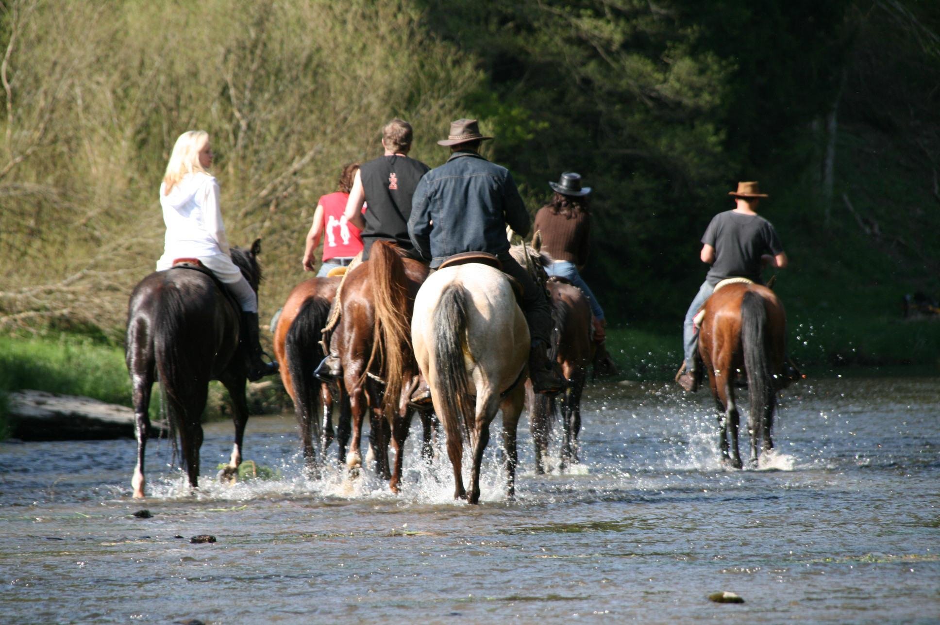 Begeleide wandeling