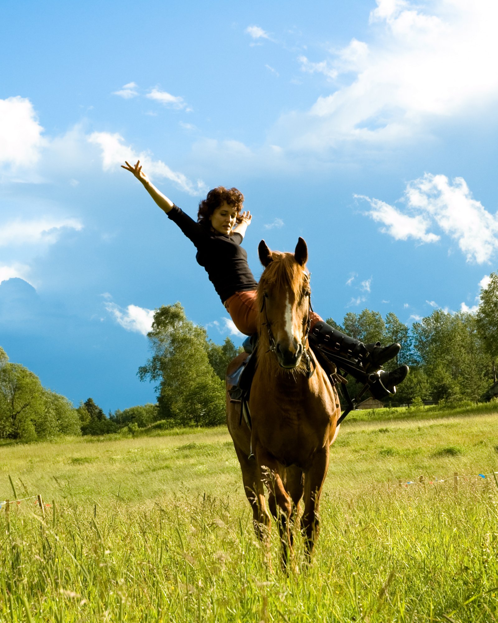 Paardensport verblijf