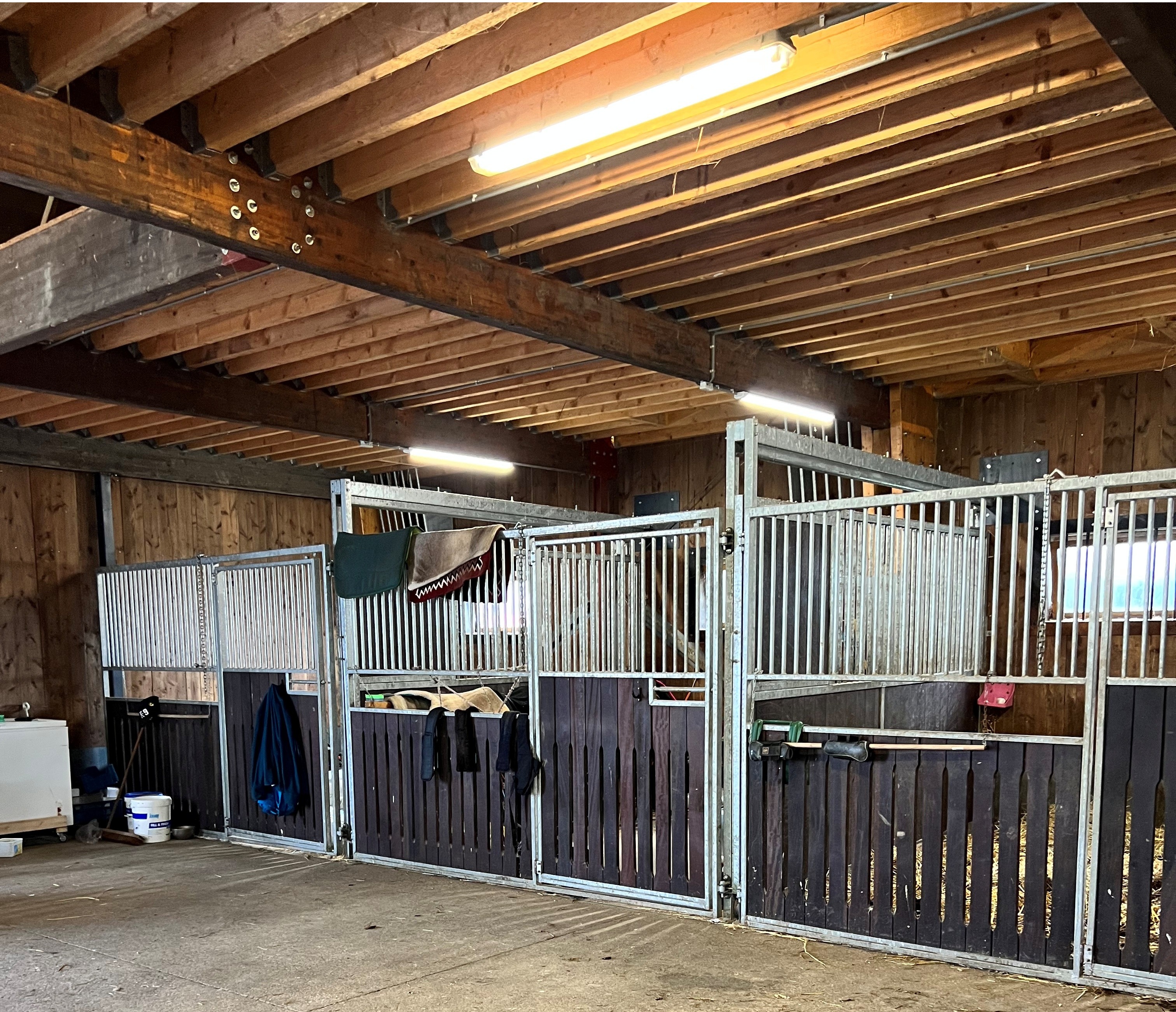 Paardenbox 3,5m x 3,5m (binnen) - zonder vakantiewoning